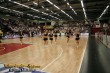Thumbs/tn_Artland Dragons Flames 110.jpg